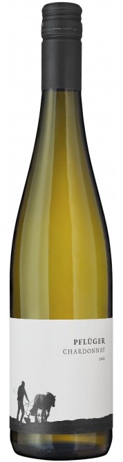Pflüger Chardonnay Quarzit 2022 (im 6er Karton) 