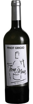 Pinot Grigio Venezia DOC 2022 Terra Musa (im 6er Karton) 